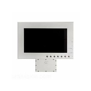 Монитор УПИ-Exm-С-21-Р4-К13